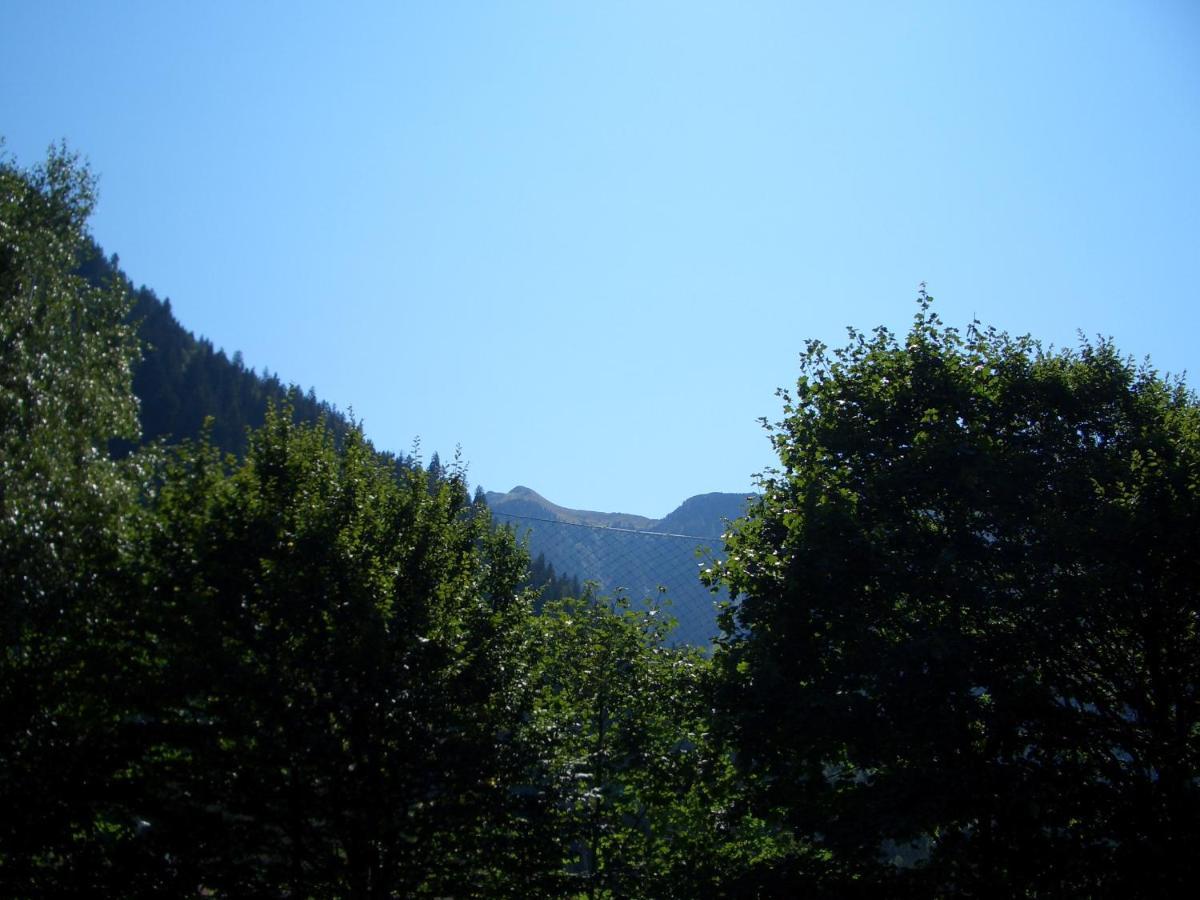 Apartmán Meckyheim Mayrhofen Exteriér fotografie