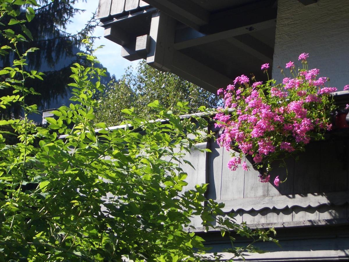 Apartmán Meckyheim Mayrhofen Exteriér fotografie
